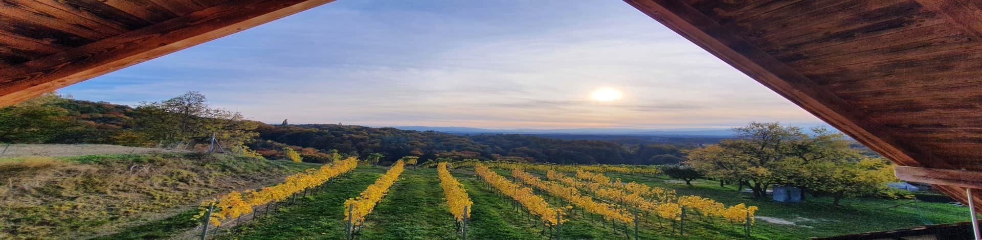 Sausaler Weinchalets